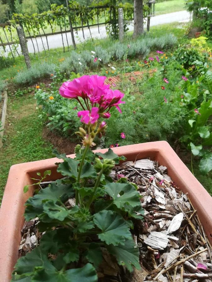 Lopatinec Ruralna Kuca Za Odmor Pozojova Hiza - Rural Holiday House מראה חיצוני תמונה