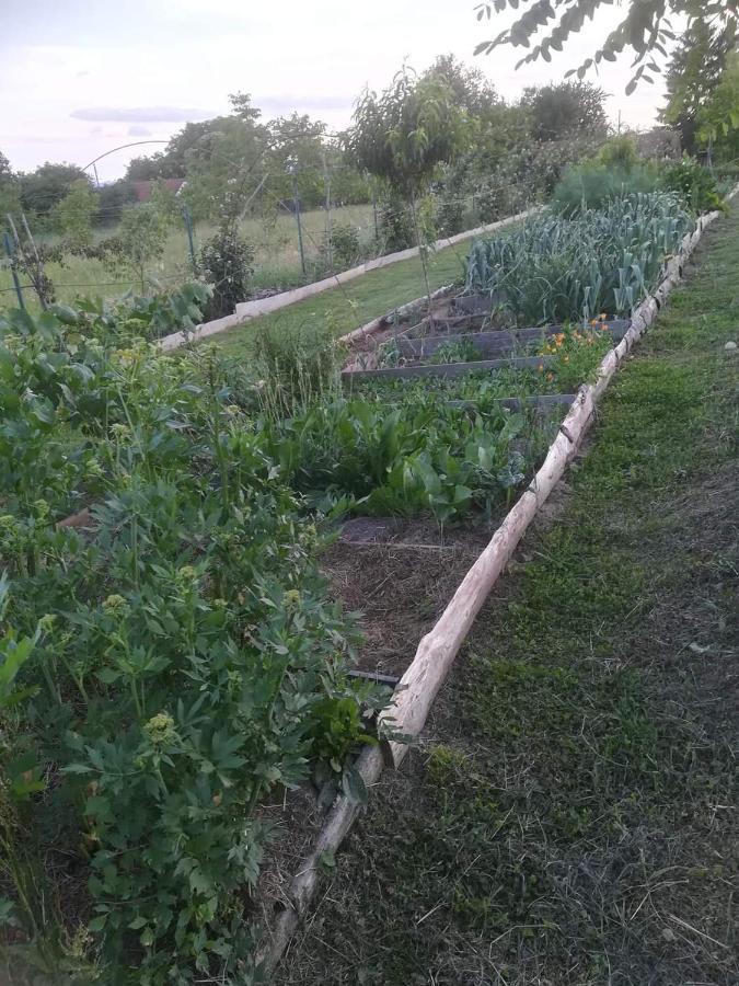 Lopatinec Ruralna Kuca Za Odmor Pozojova Hiza - Rural Holiday House מראה חיצוני תמונה