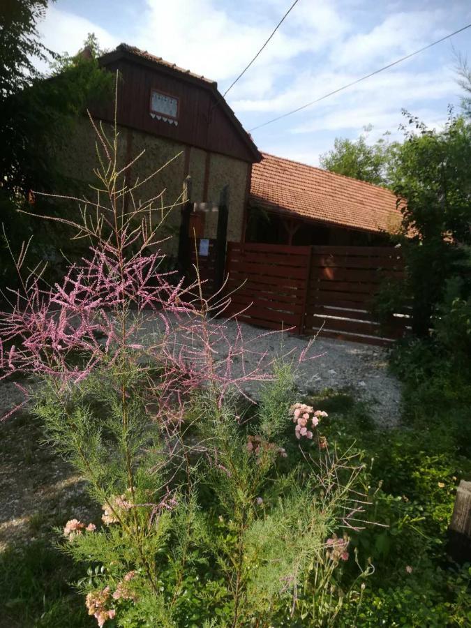 Lopatinec Ruralna Kuca Za Odmor Pozojova Hiza - Rural Holiday House מראה חיצוני תמונה