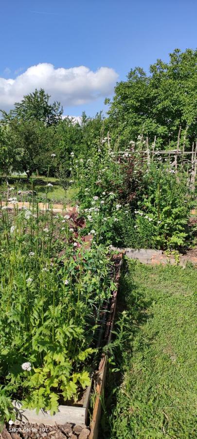 Lopatinec Ruralna Kuca Za Odmor Pozojova Hiza - Rural Holiday House מראה חיצוני תמונה