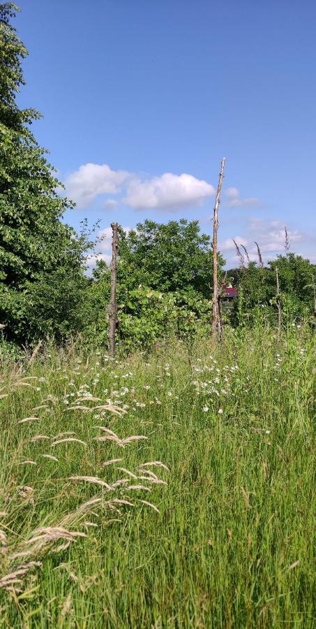 Lopatinec Ruralna Kuca Za Odmor Pozojova Hiza - Rural Holiday House מראה חיצוני תמונה