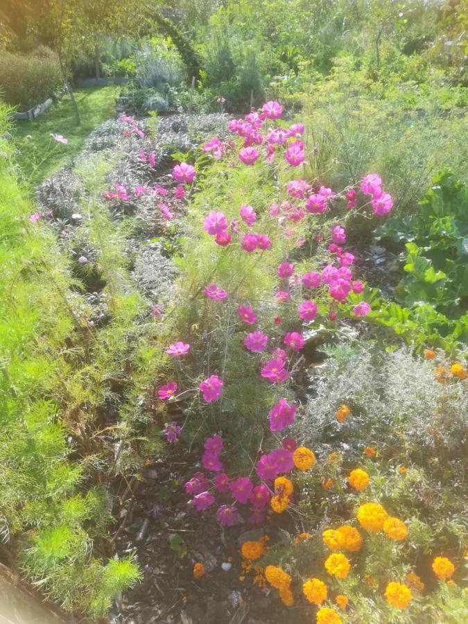 Lopatinec Ruralna Kuca Za Odmor Pozojova Hiza - Rural Holiday House מראה חיצוני תמונה